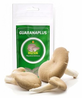 GuaranaPlus Sproszkowany grzyb ostrygowy 75 g